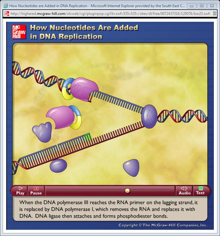 Bio 30 - DNA Replication - Non-Fiction